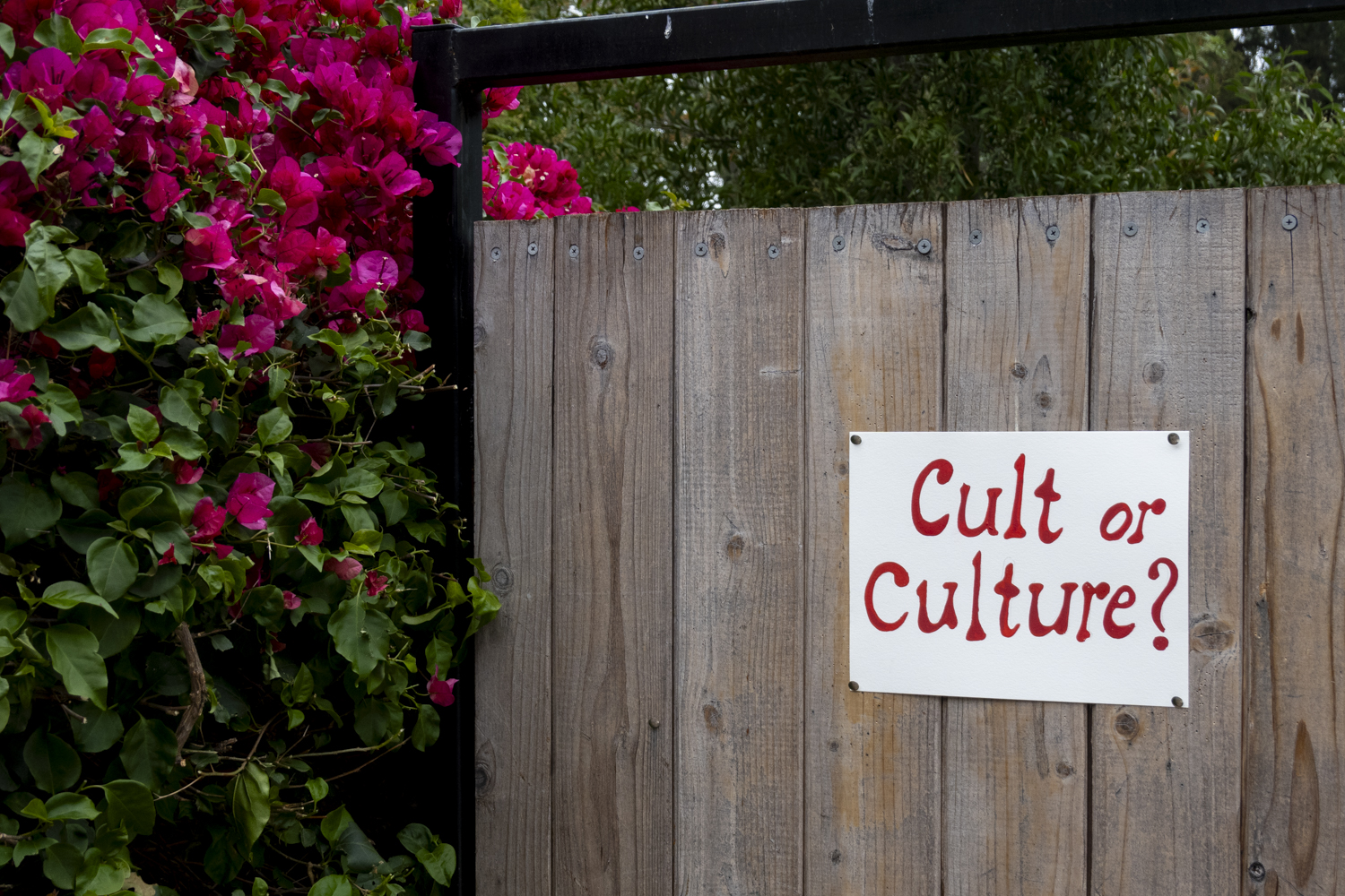 Cult or culture?