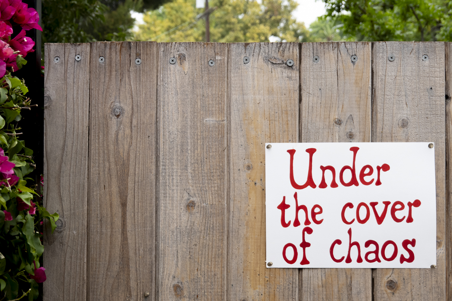 Under the cover of chaos