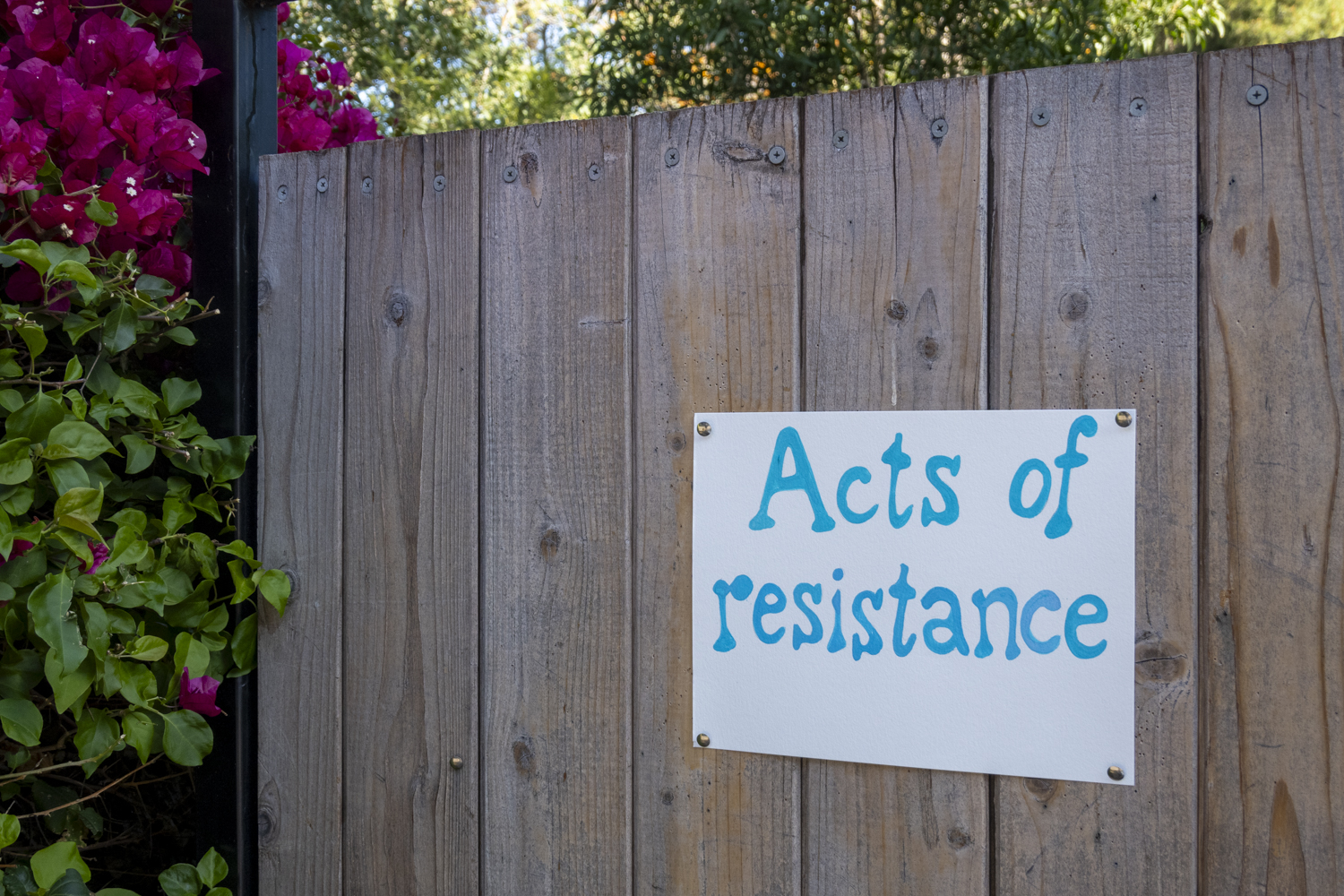 Acts of Resistance