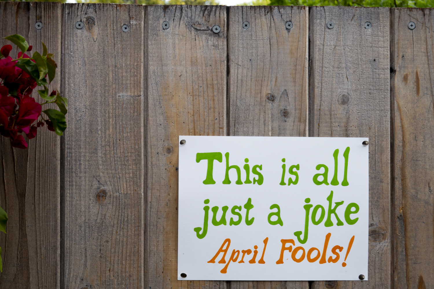 It's all just a Joke, April Fools!
																			 