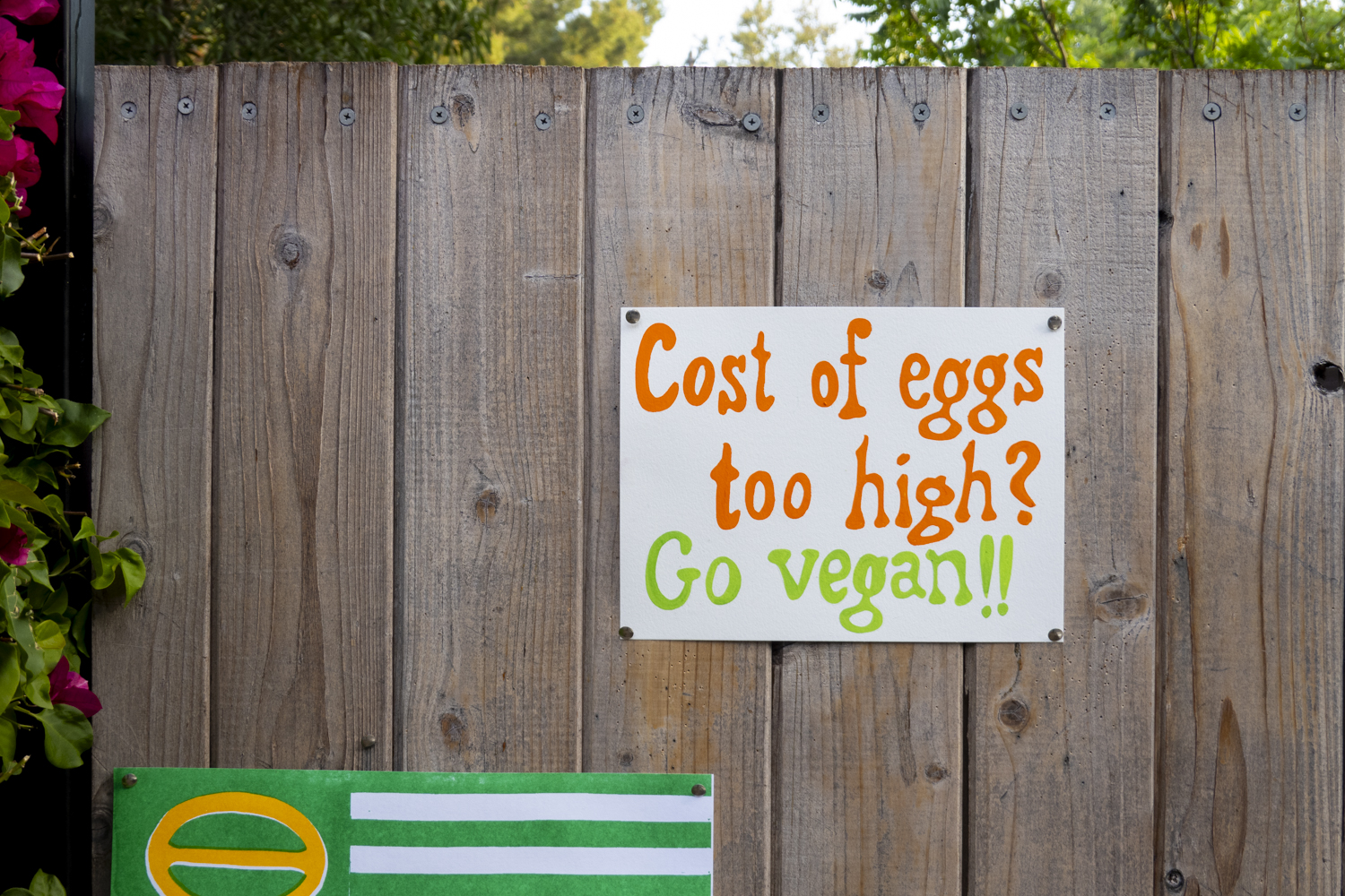 Cost of eggs too high? Go vegan!