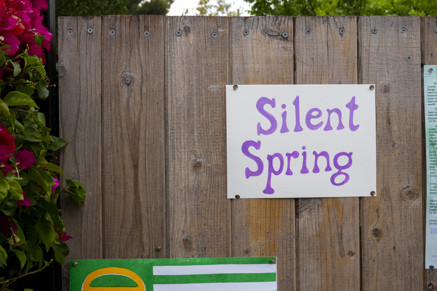 Silent Spring