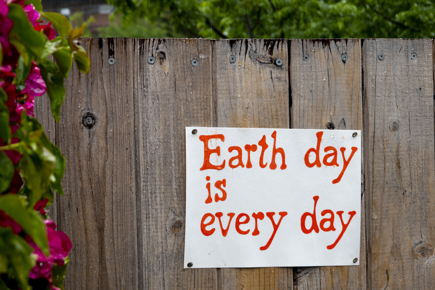 Earth day is everyday