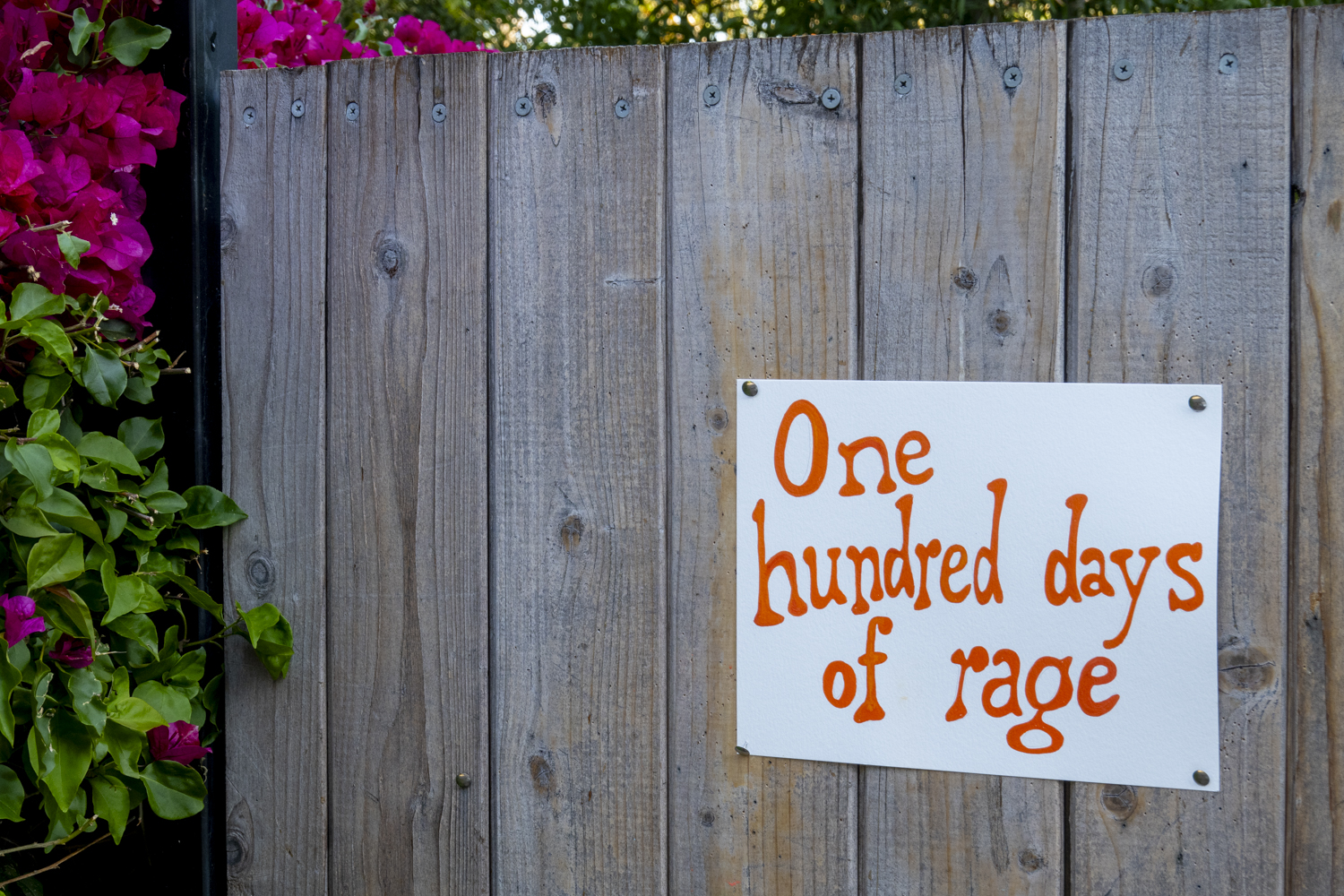 One hundred days of rage