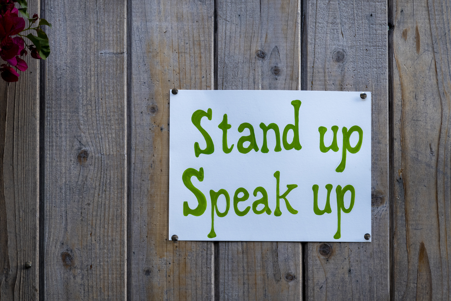 Stand up Speak up
																			 