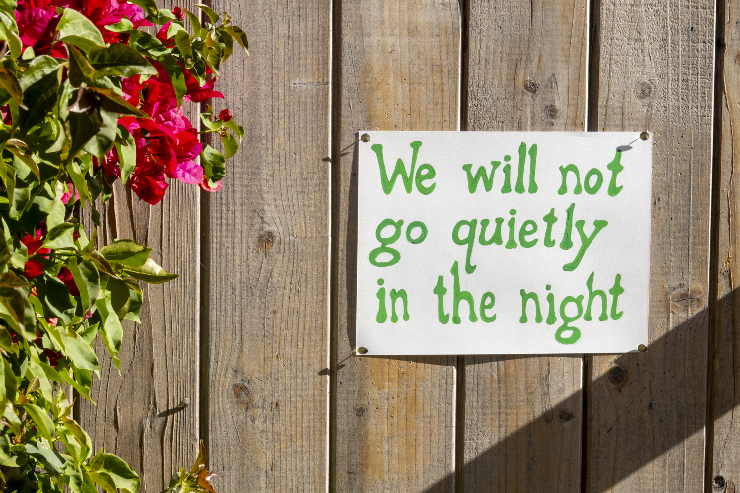 We will not go quietly in the night
																			 