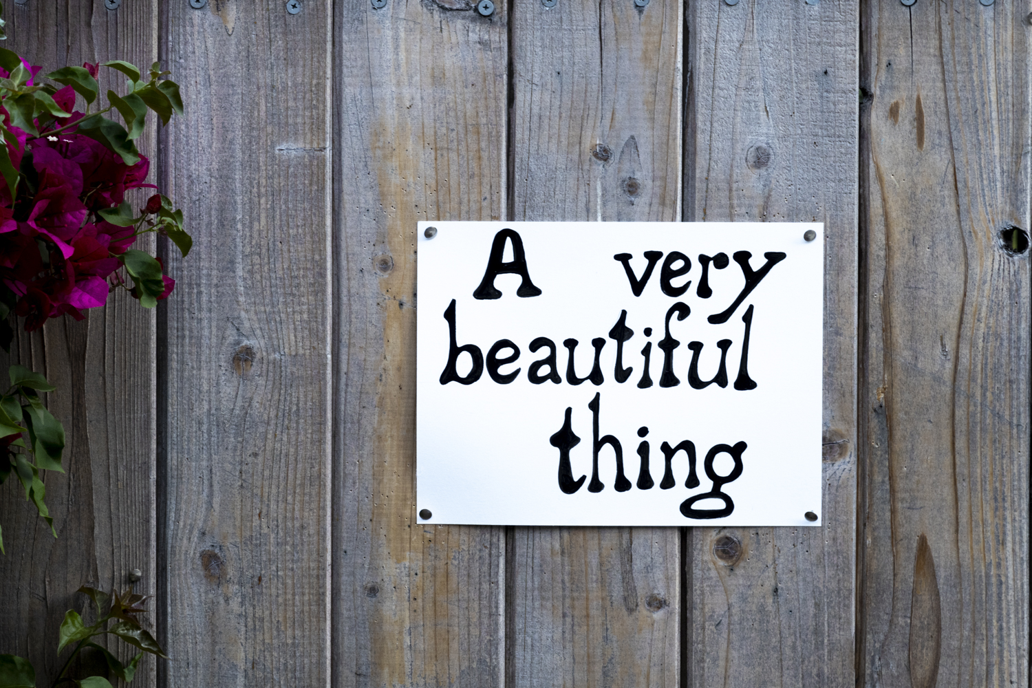 A very beautiful thing