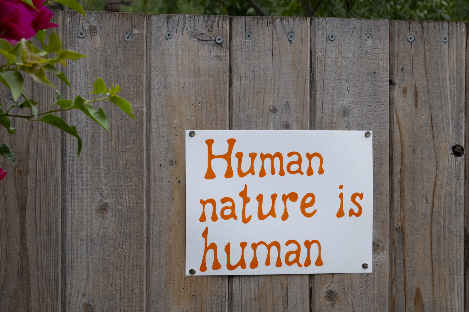 Human nature is human
																			 
																		