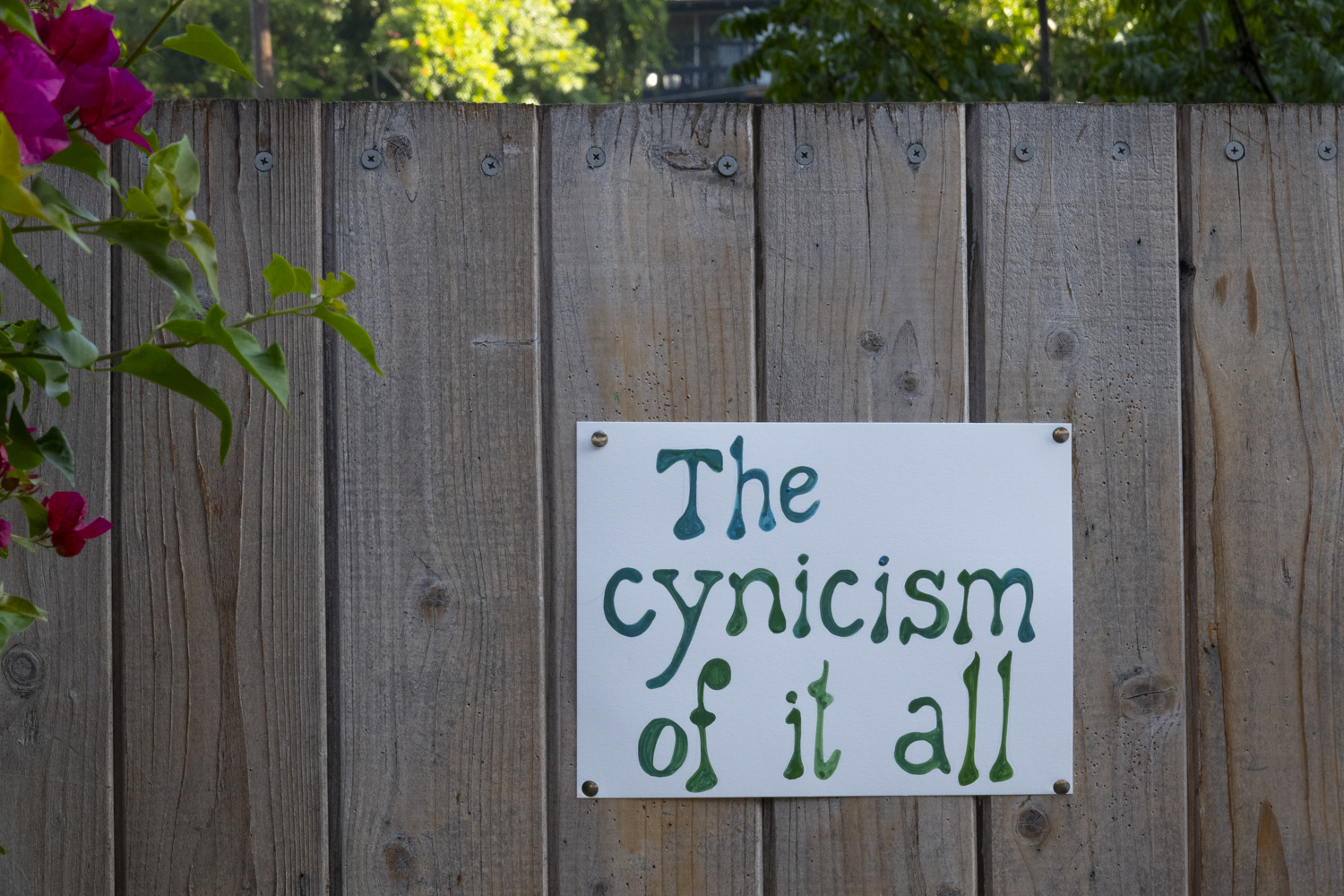 The cynicism of it all
																			 
																		