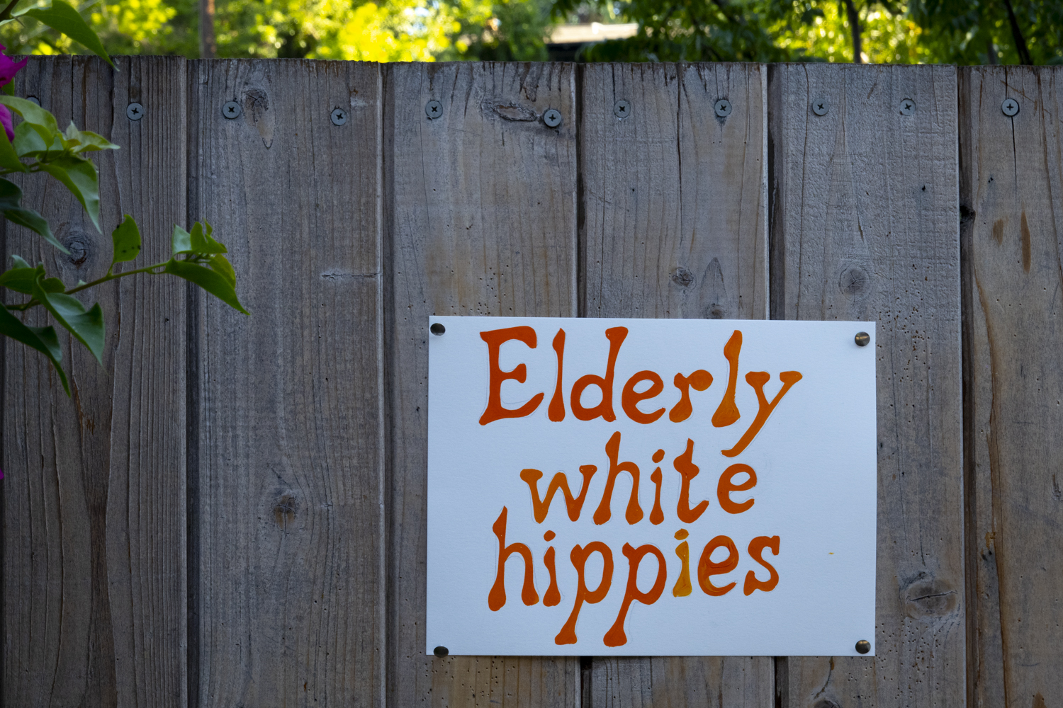 Elderly white hippies
																			 
																		
