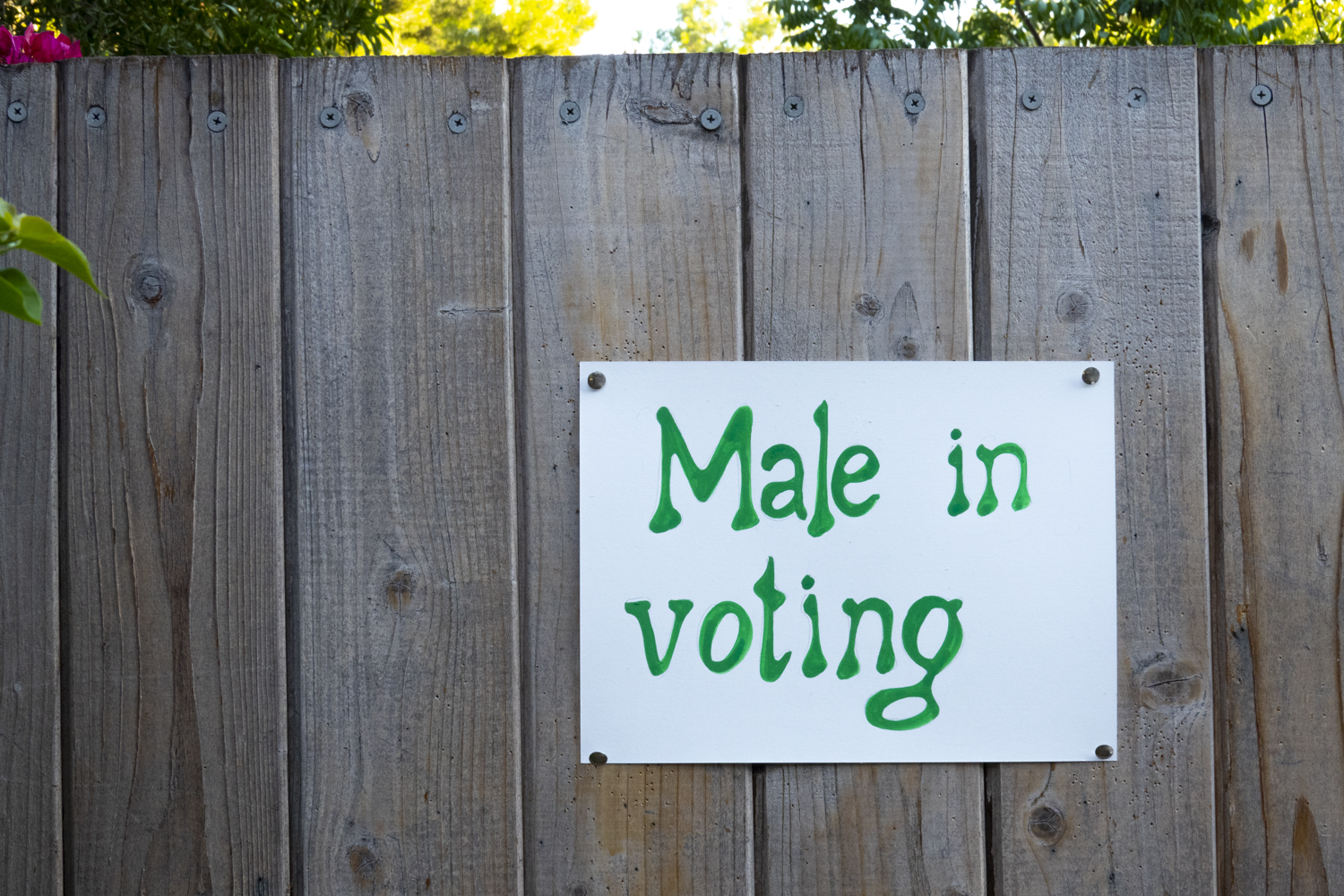 Male in voting
																			 
																		