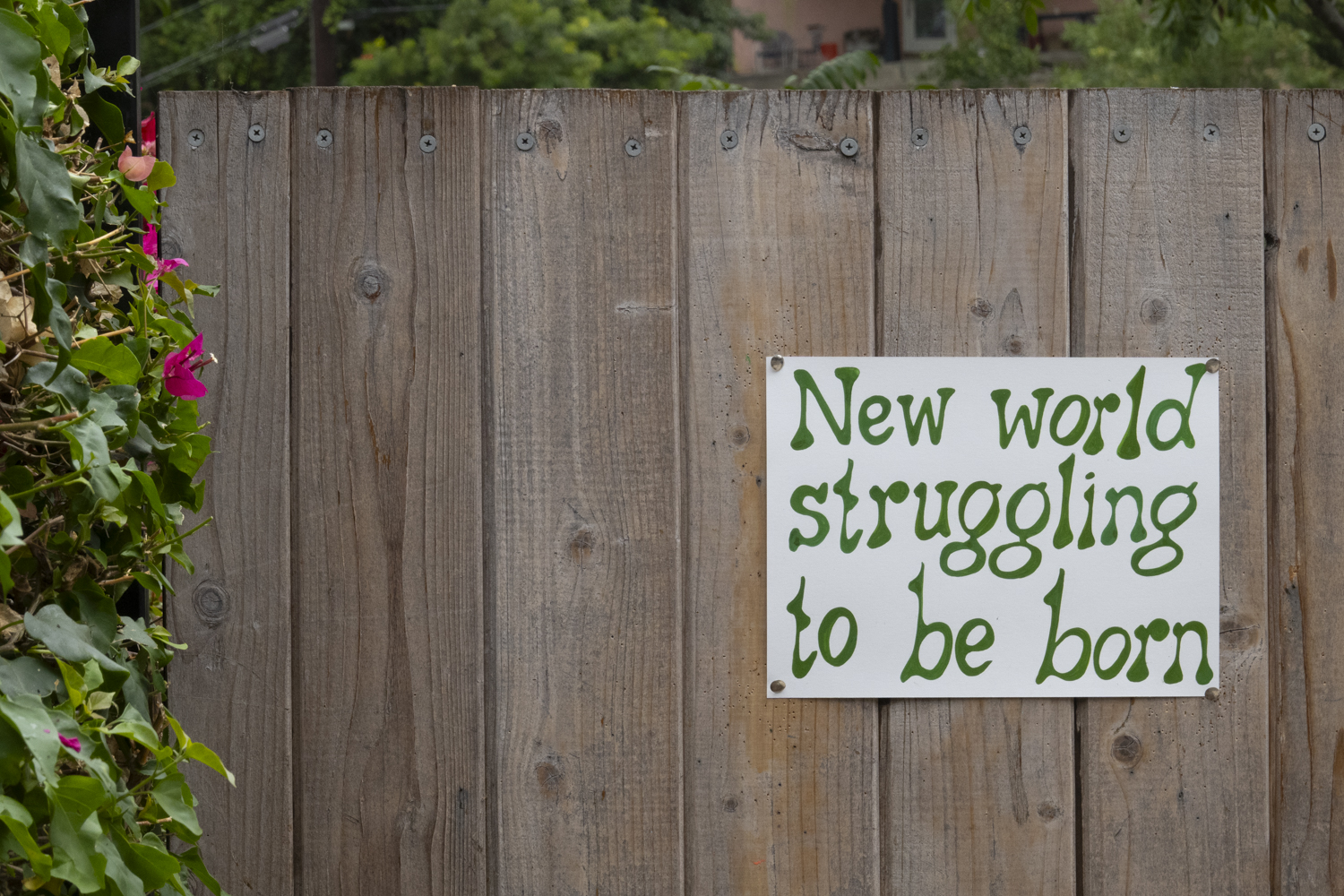 New world struggling to be born
																			 
																		