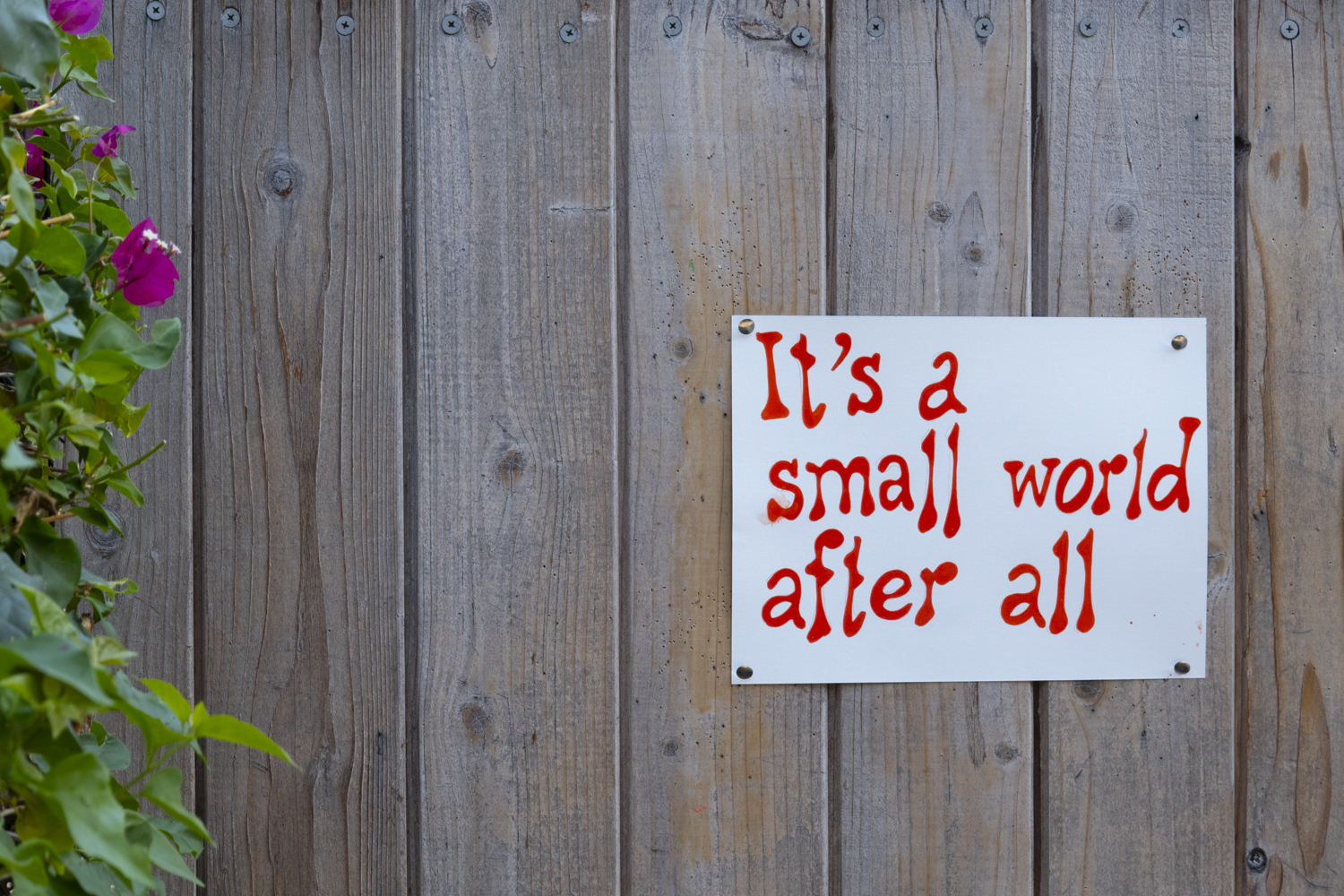 It's a small world aftr all
																			 
																		