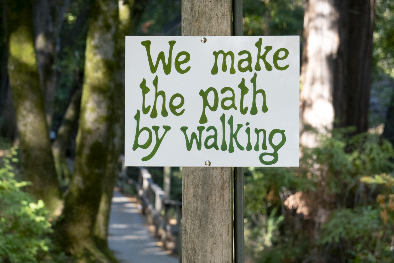 We make the path by walking
																			 
																		