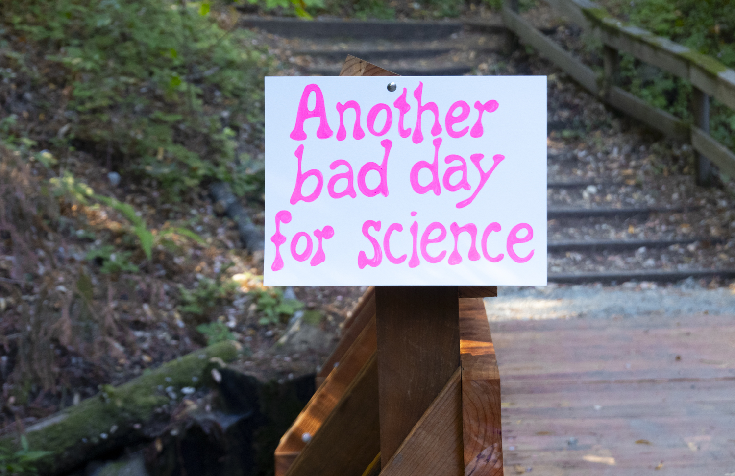 Another bad day for science
																			 
																		