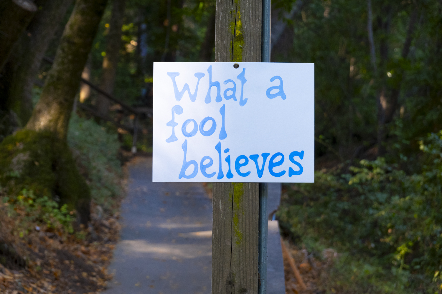 What afool believes
																			 
																		