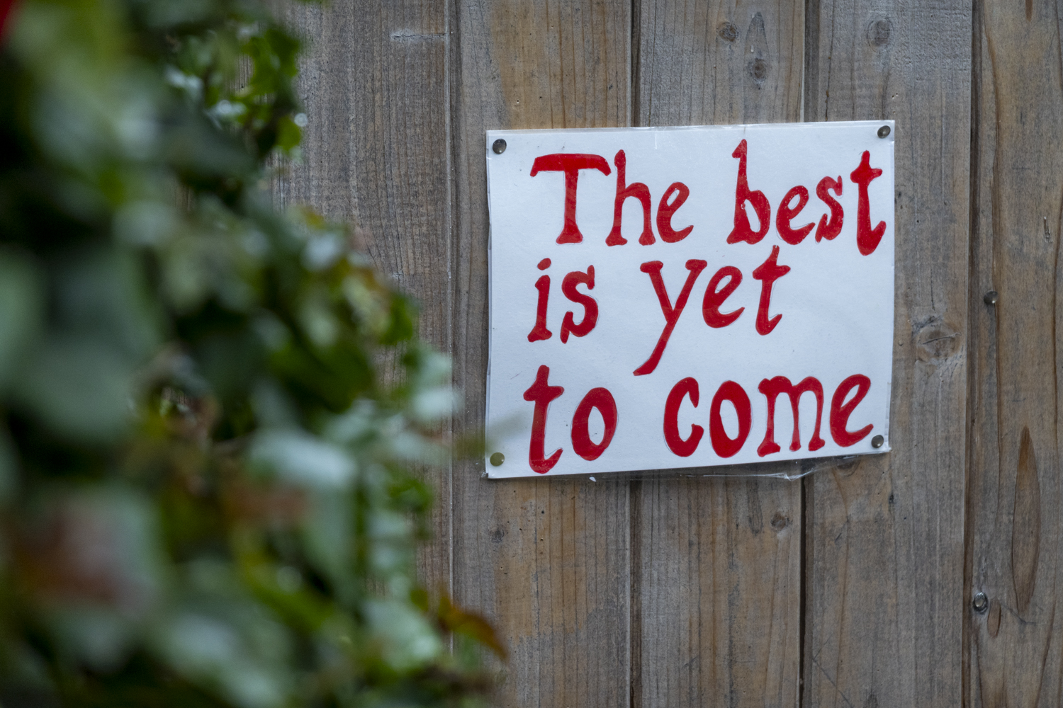 The Best Is Yet To Come