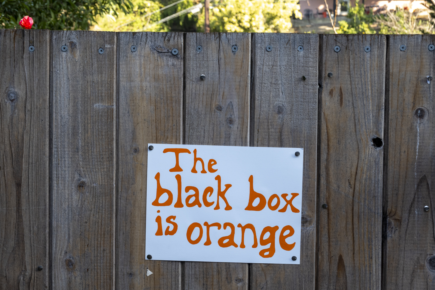 the black box is orange