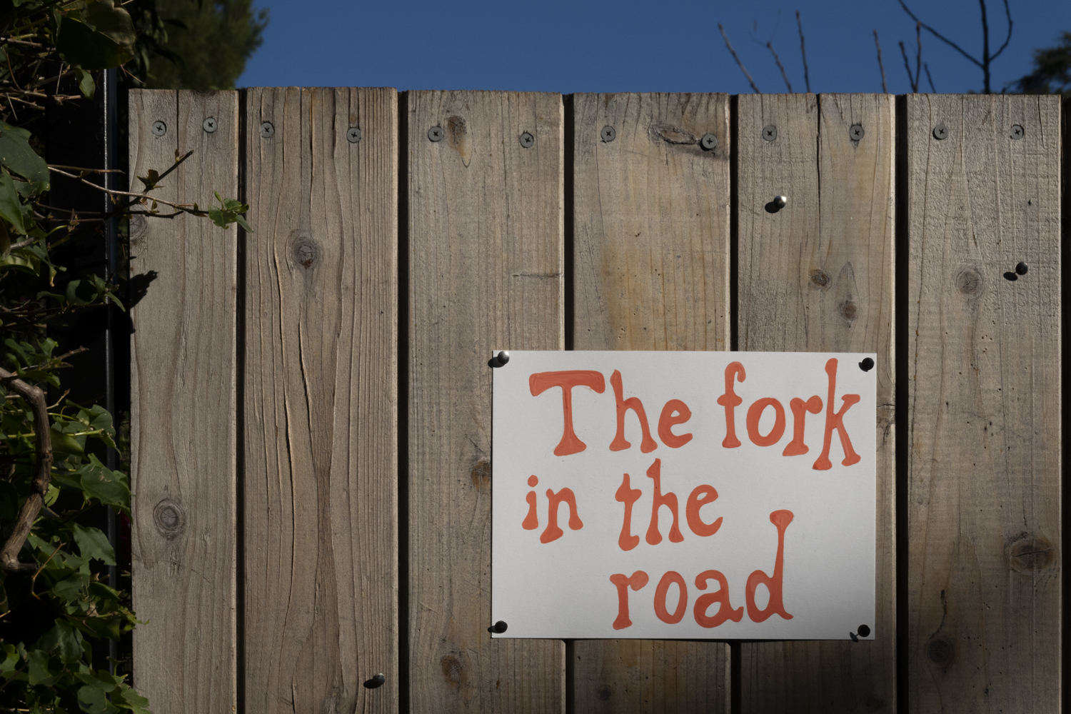 The Fork in the Road