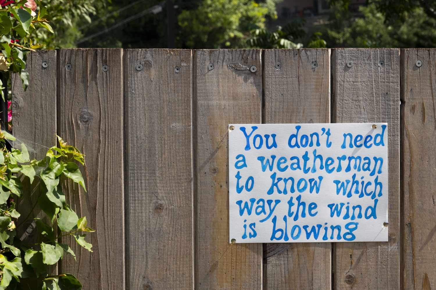 You don't have to be a weatherman to know which way the wind is blowing
																			 
																		