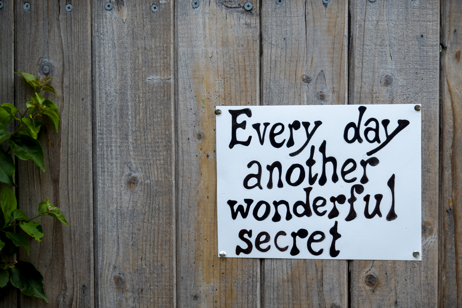 Every day another wonderful secret
																			 
																		