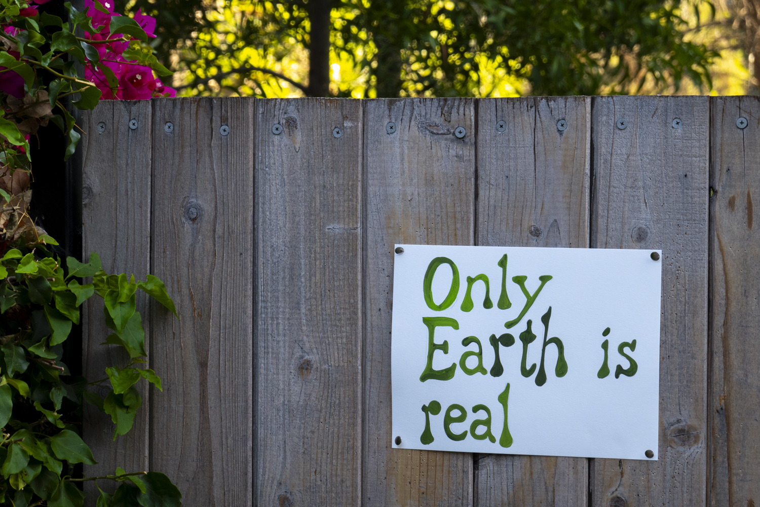 Only Earth is real
																		