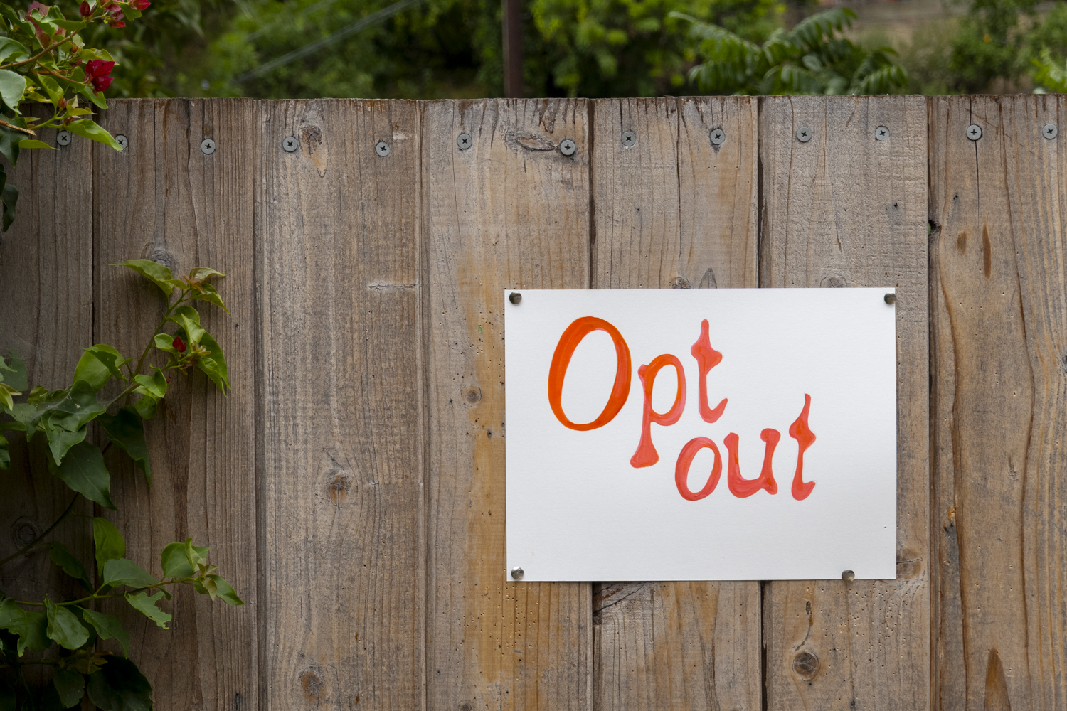 Opt out
																			 
																		