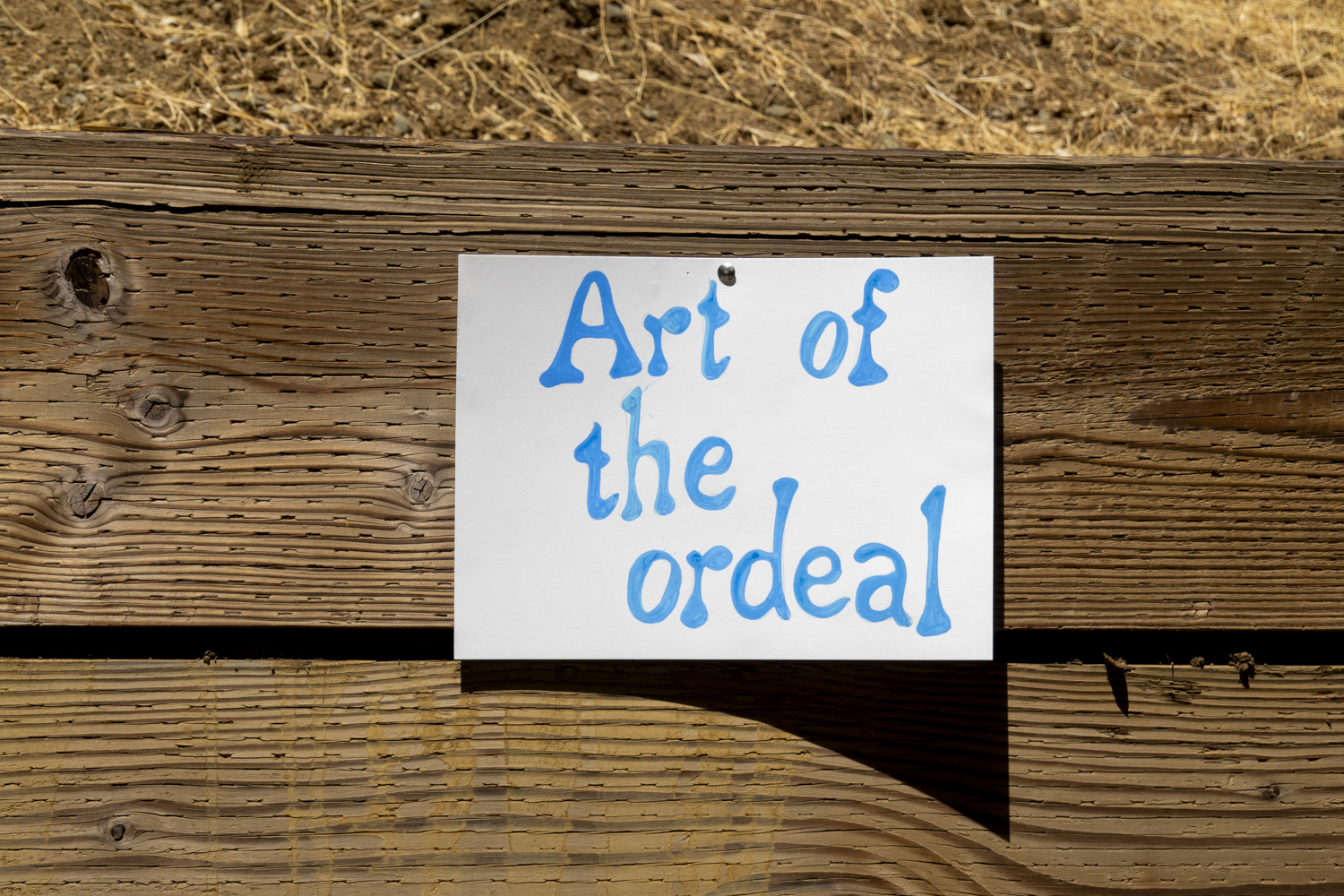 Art of the ordeal
																			 
																		