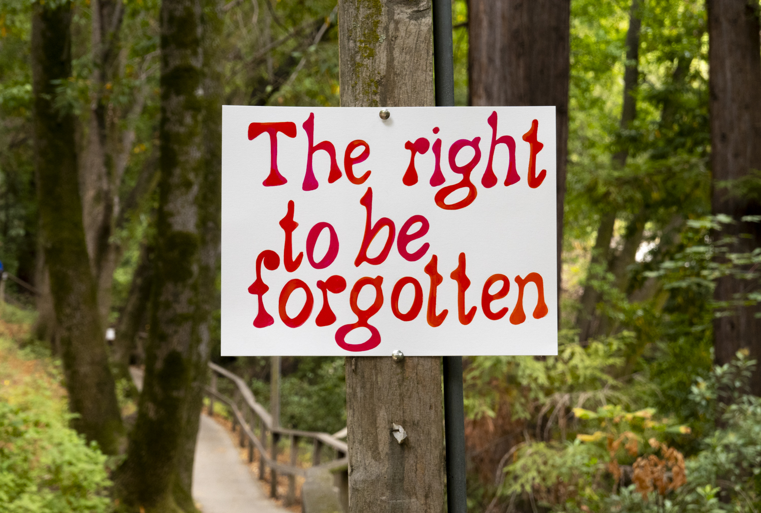 The right to be forgotten
																			 
																		
