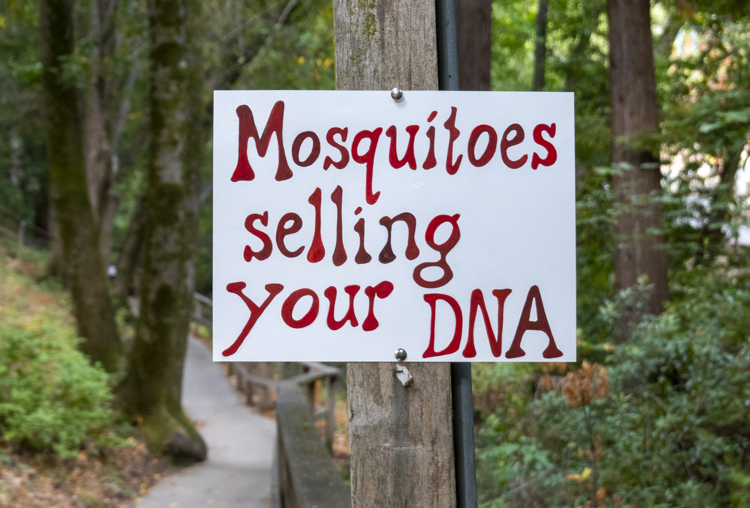 Mosquitoes selling your DNA
																			 
																		