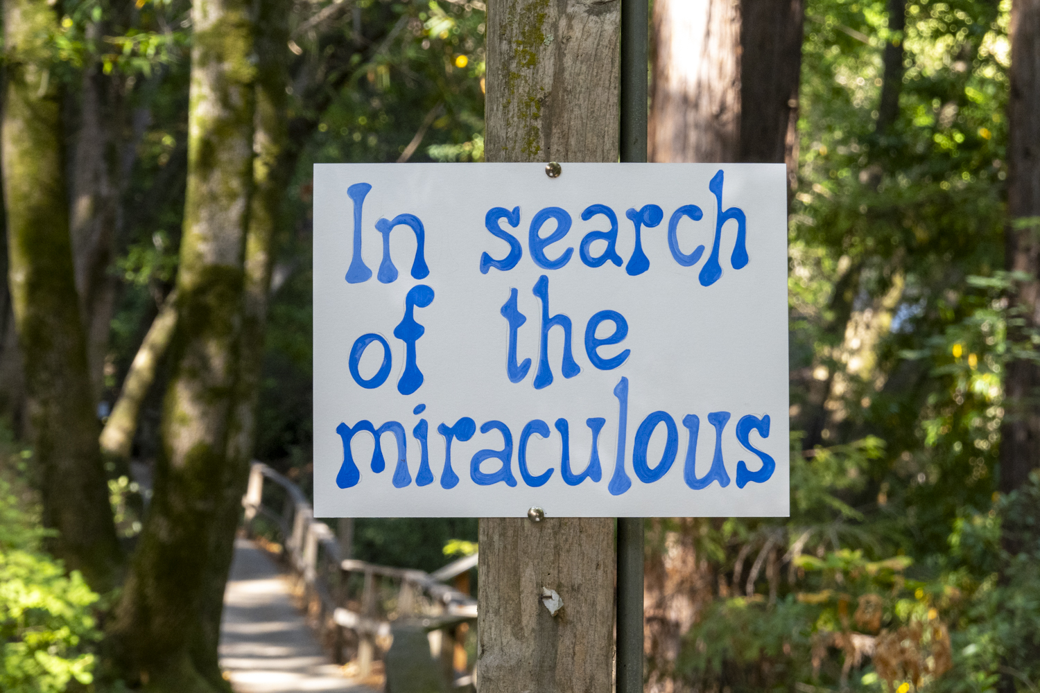 In search of the miraculous
																			 
																		