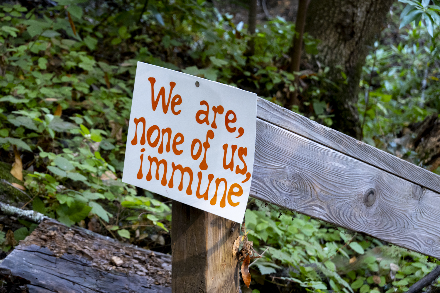 We are, none of us, immune
																			 
																		