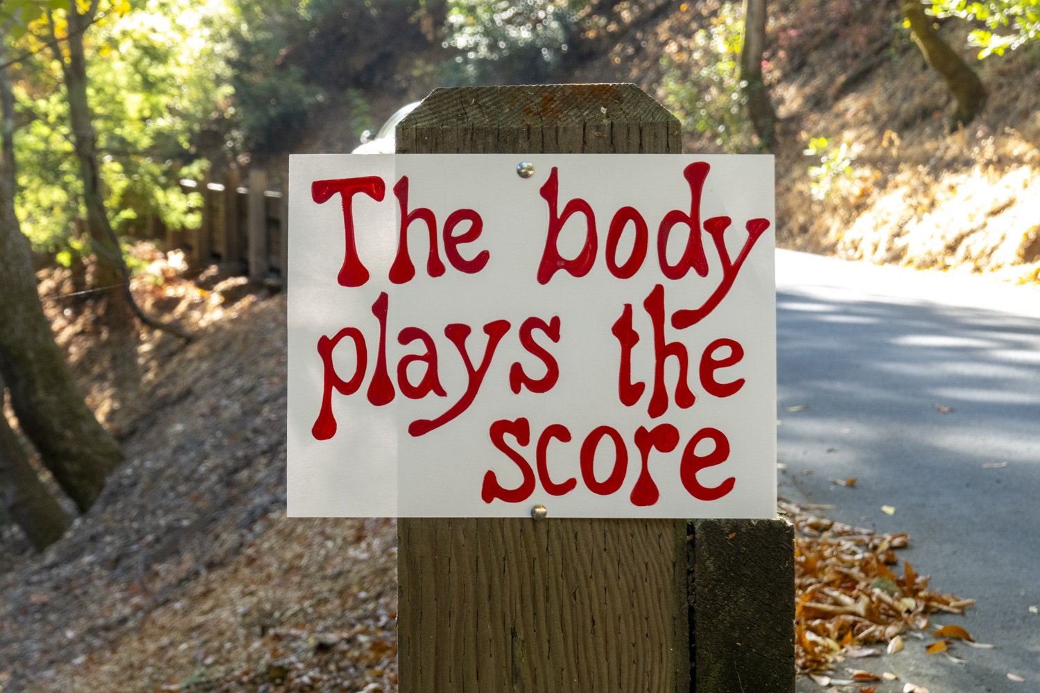 The body plays the score
																			 
																		