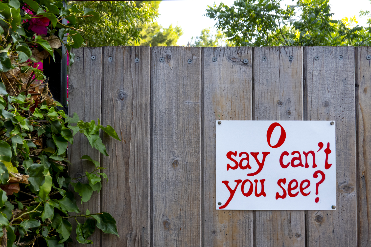 O say can't you see?
																			 
																		
