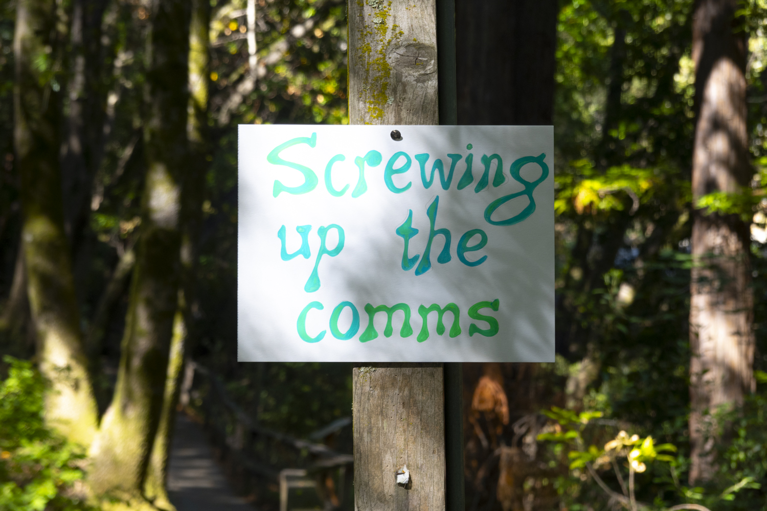 Screwing