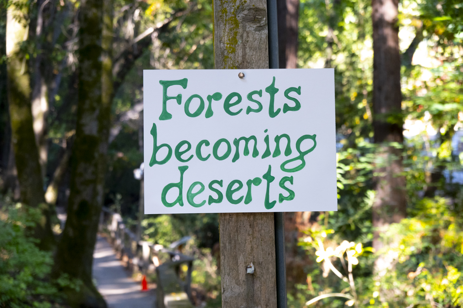 Deserts