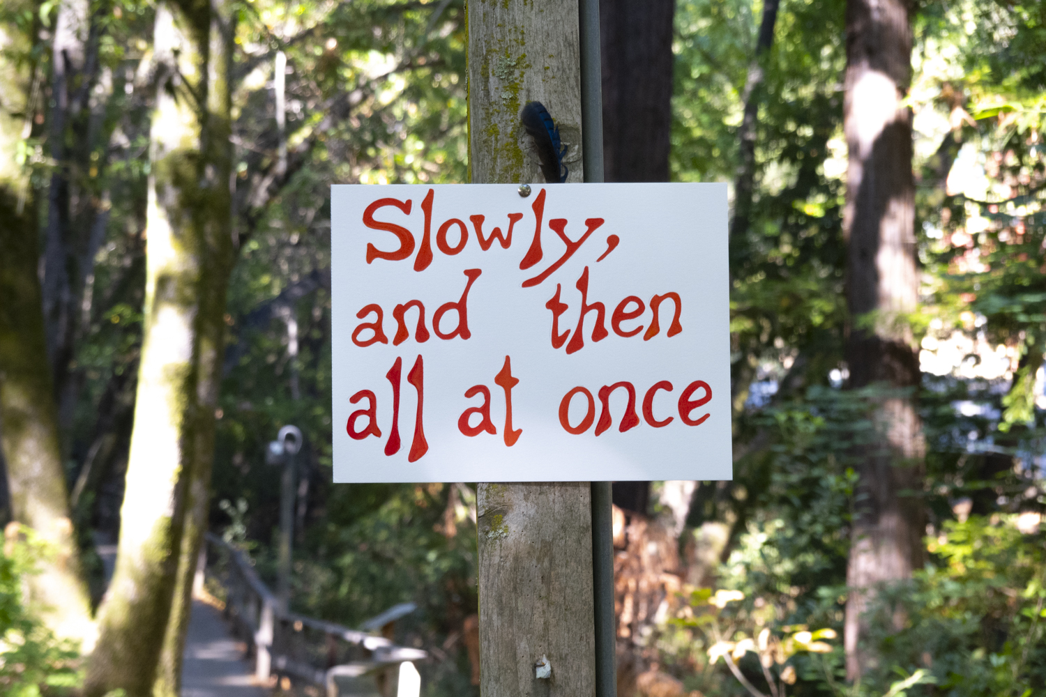 slowly