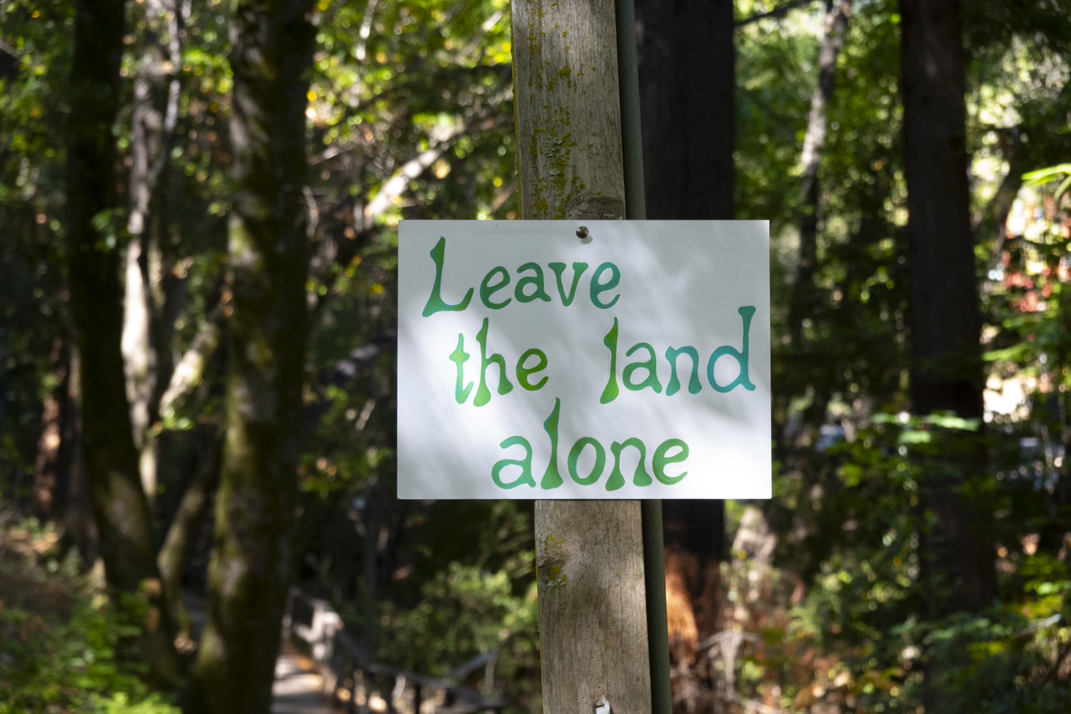 Leave