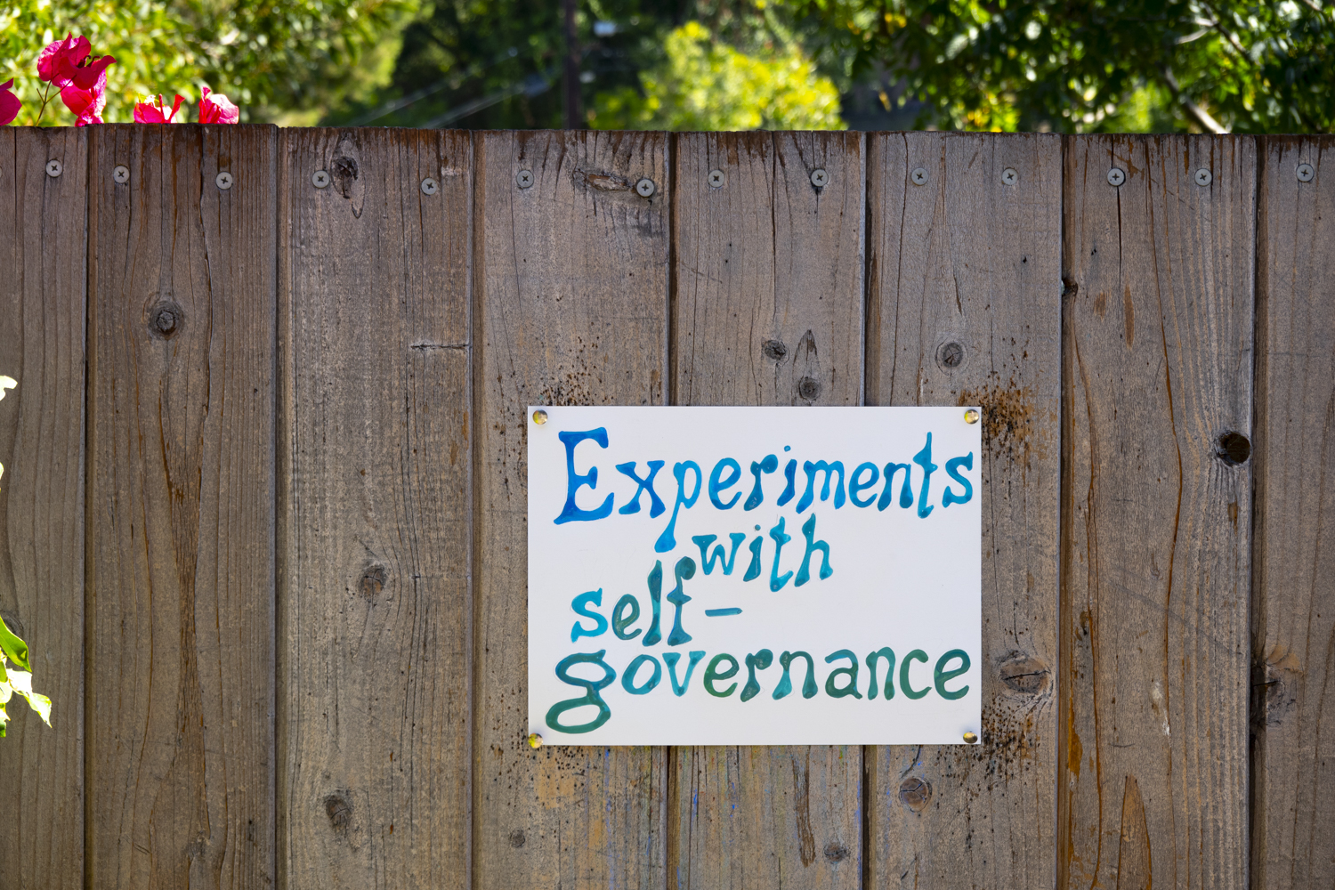 experiments