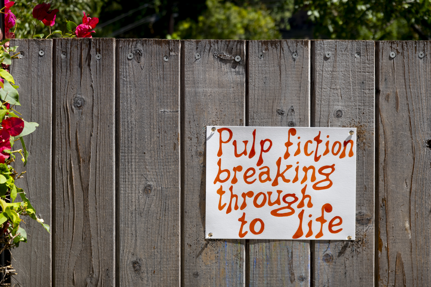 pulp