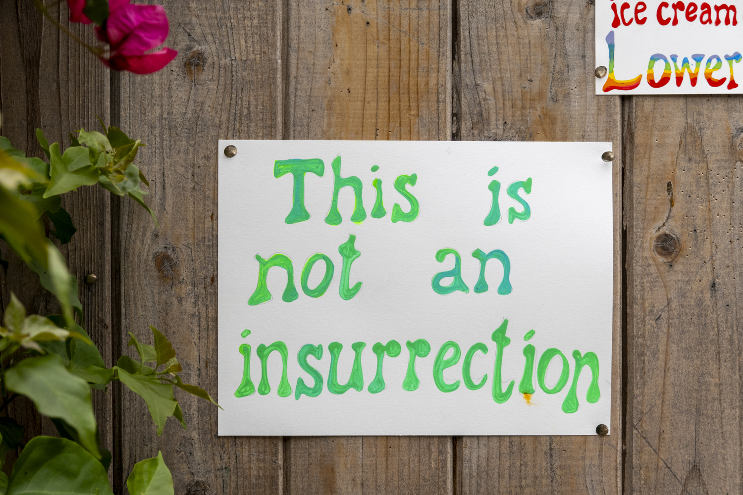 This is not an insurrection
																		