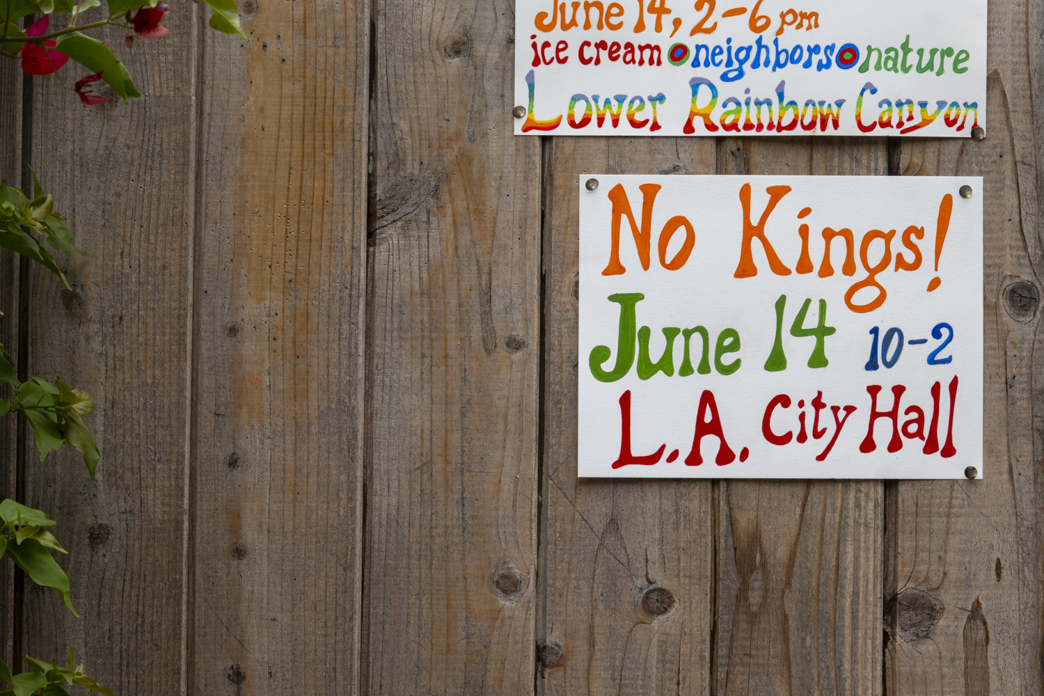 No Kings June 14 10-2 LA City Hall
																		
