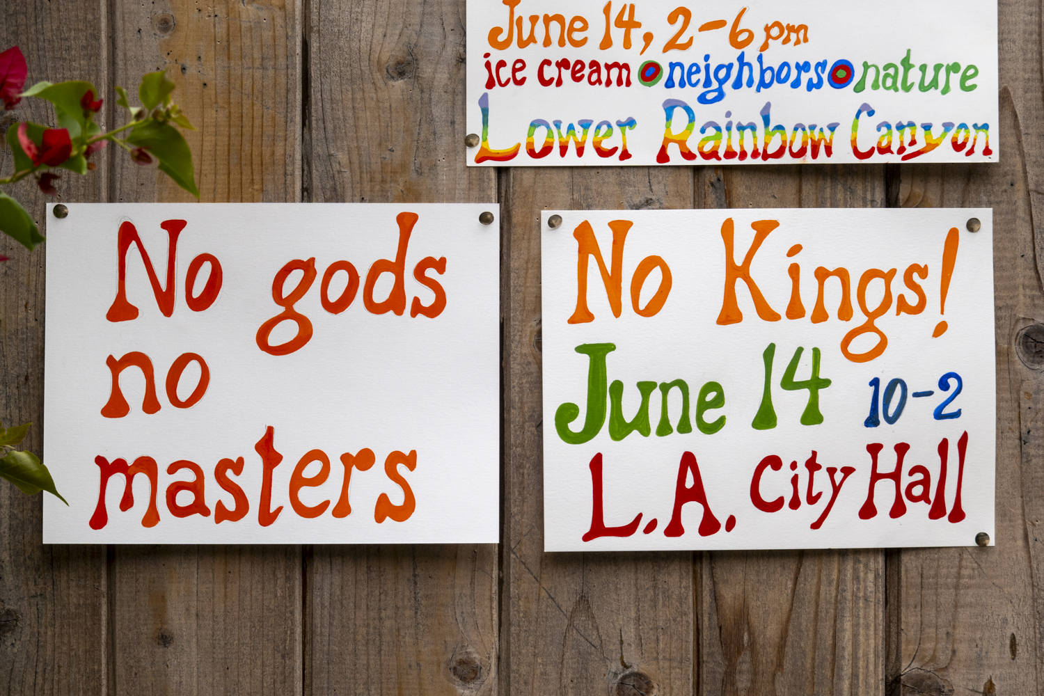 No gods no masters
																		
