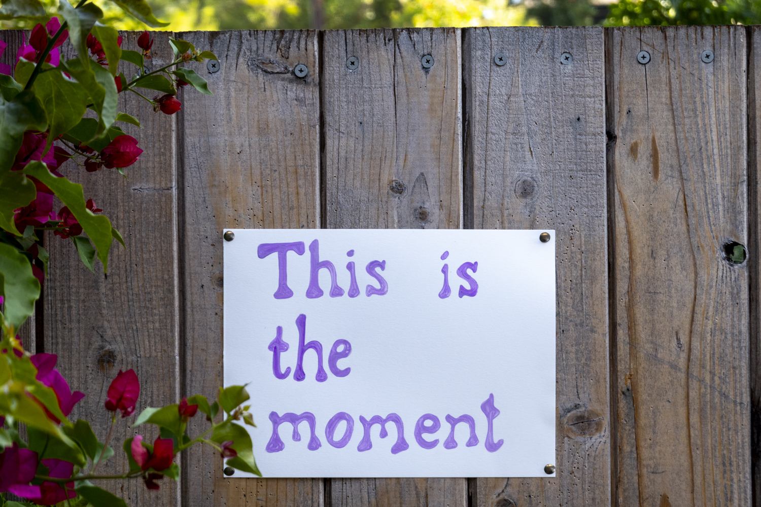 This is the moment
																		