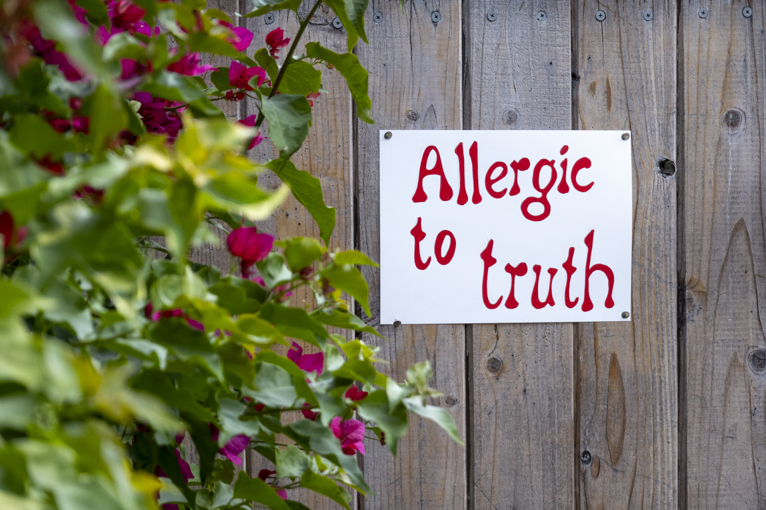 Allergic to truth
																		