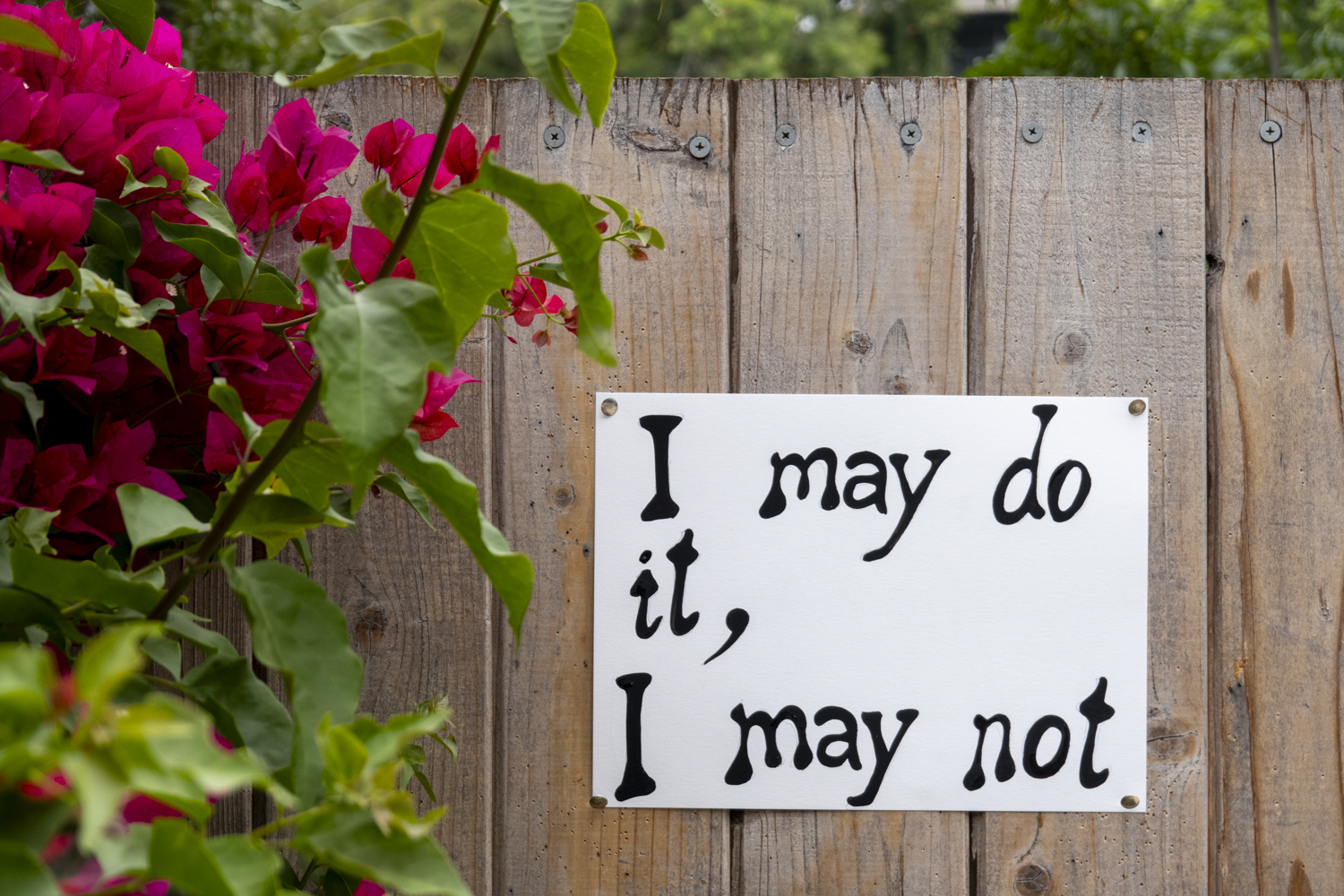 I may do it, I may not
																		