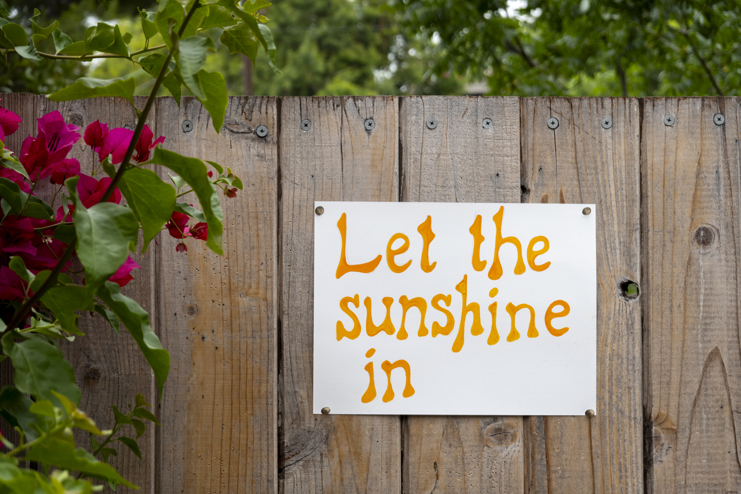 Let the sunshine in
																		