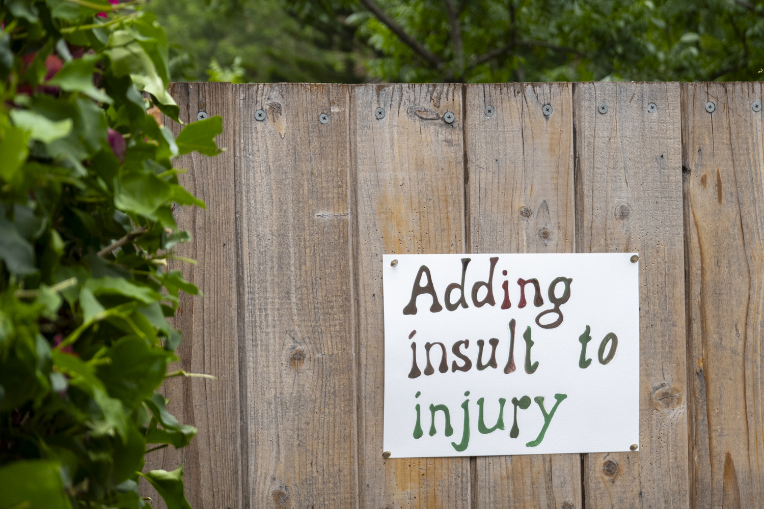Adding insult to injury
																		