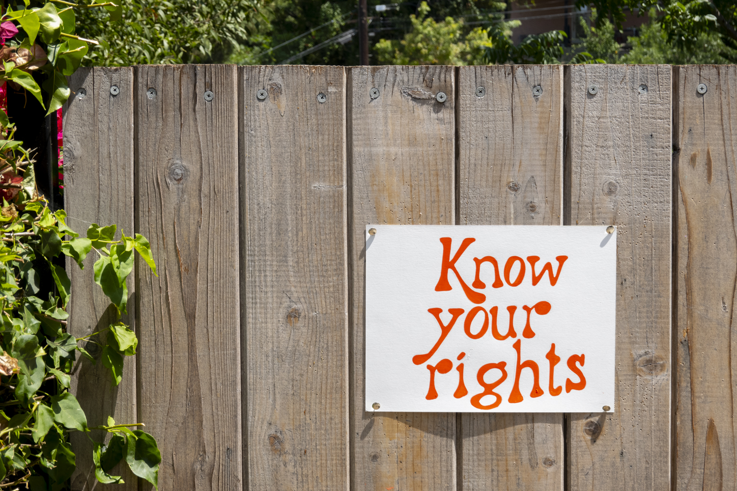 Know your rights
																		