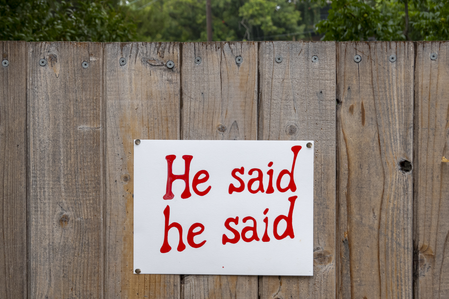 He said he said
																		